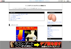 ミニスカポリスとSEX動画DVD