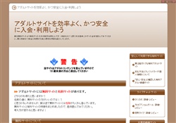 有料アダルトサイトを安心・安全に